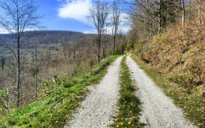 Zo sedla Javorinka na Stolicu – najvyšší vrch Slovenského rudohoria