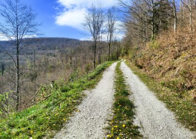Zo sedla Javorinka na Stolicu – najvyšší vrch Slovenského rudohoria